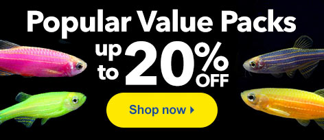 Popular Value Packs