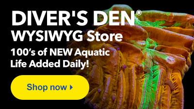 Shop Diver's Den WYSIWYG Store