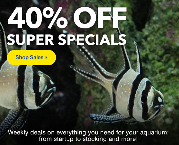 Shop Super Specials up to 40% Off