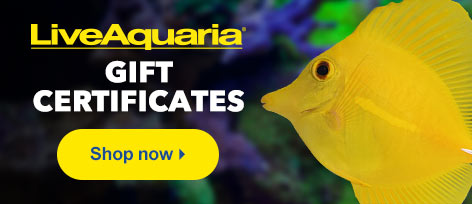 LiveAquaria Gift Certificate