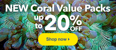 Popular Value Packs