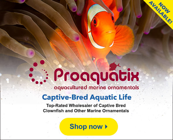 ProAquatix Launch