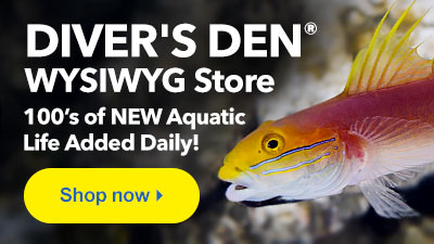 Shop Diver's Den WYSIWYG Store