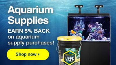 liveaquaria quality aquarium fish supplies equipment