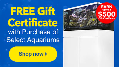 FREE Gift Certificate with Purchase of Select Aquariums