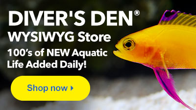 Shop Diver's Den WYSIWYG Store