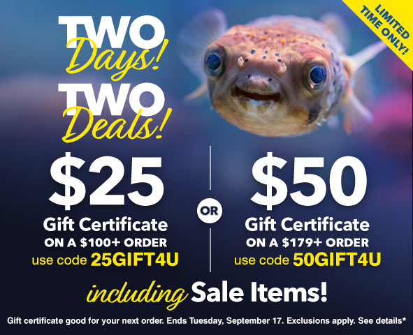 Earn a Gift Certificate for your next order