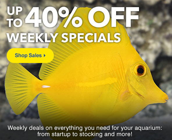 Save up to 40% on Weekly Specials