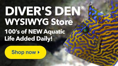 Shop Diver's Den WYSIWYG Store