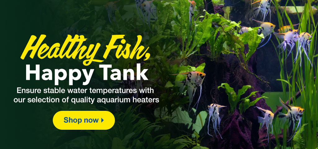 Quality Heaters for Your Aquarium