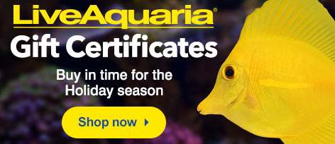 Gift Certificates