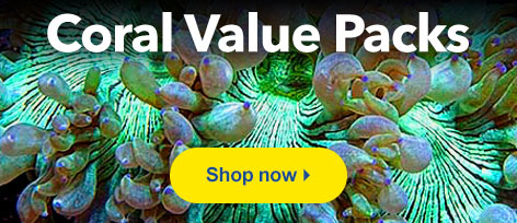 Coral Value Packs