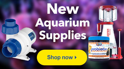 Shop NEW Aquarium Supplies