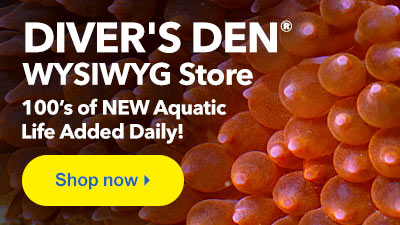 Shop Diver's Den WYSIWYG Store