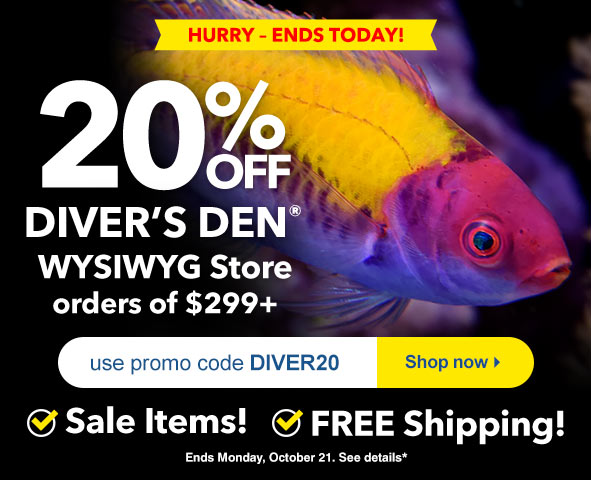 Save 20% on Divers Den orders $299+