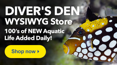 Shop Diver's Den WYSIWYG Store