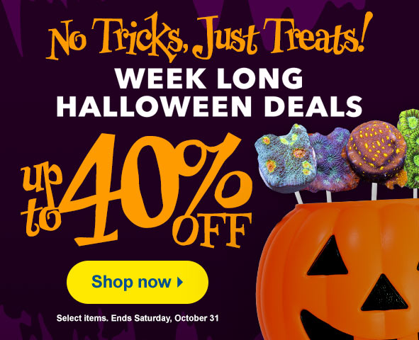 Save on Halloween Specials