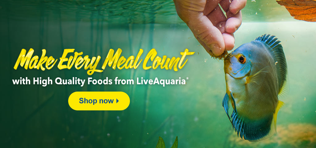 Pamper your pets with exclusive offers on High Quality Food!