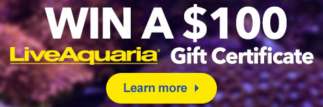Win a Gift Certificate