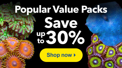 Popular Value Packs