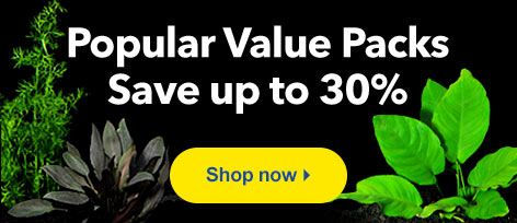 Popular Value Packs
