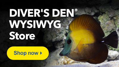 Shop Diver's Den WYSIWYG Store Marine Fish