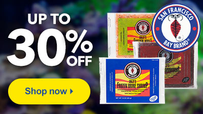 Up to 40% Off Weekly Specials