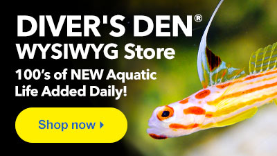 Shop Diver's Den WYSIWYG Store