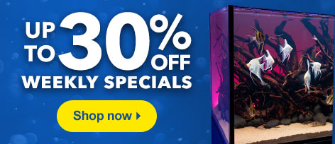 Weekly Specials up to 30% Off