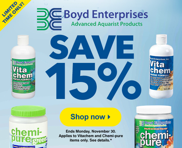 Save 15% on Boyd