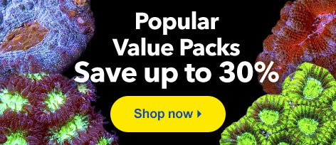 Popular Value Packs