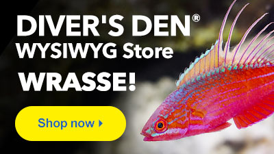 Shop Diver's Den WYSIWYG Store