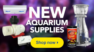 Shop New Aquarium Supplies