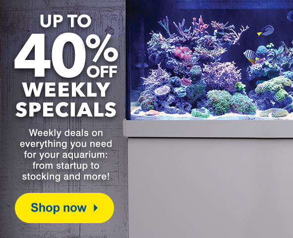 Up to 40% Off Weekly Specials