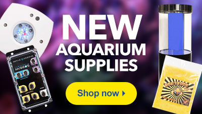 Shop New Aquarium Supplies