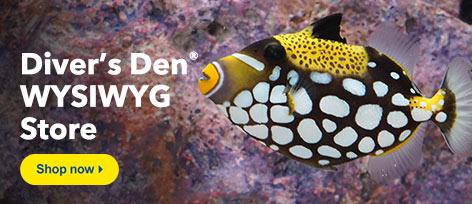 Diver's Den WYSIWYG Store