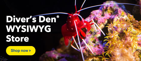 Diver's Den WYSIWYG Store