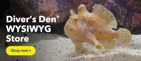 Diver's Den WYSIWYG Store