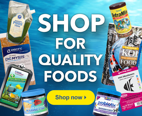 Shop for Quality Foods