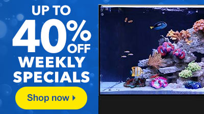 Weekly Specials up to 40% Off