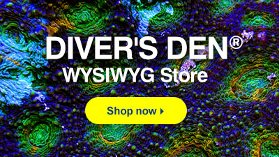 Diver's Den WYSIWYG Store. Browse now