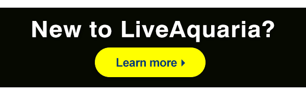 New to LiveAquaria? See our special section for beginners