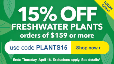Freshwater Plants
