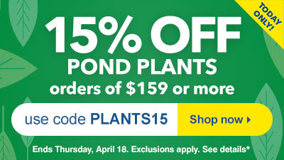 Pond Plants
