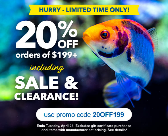 Site Wide Savings on Aquatic Life and Aquarium Supplies with Code 20OFF199 When you Shop LiveAquaria