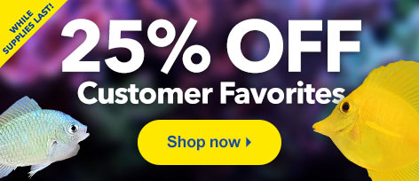 25% OFF Customer Favorites Our best-selling aquatic life is on sale for 25% OFF.