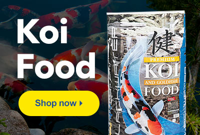 Find Nutritious High-Quality Foods for Koi, Goldfish, and Other Pond Fish at LiveAquaria