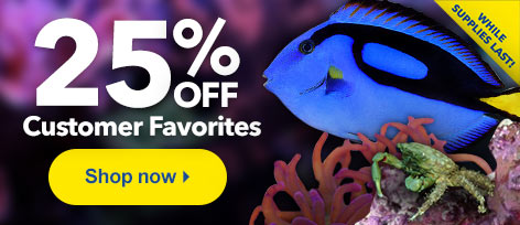 25% OFF Customer Favorites Our best-selling aquatic life is on sale for 25% OFF.
