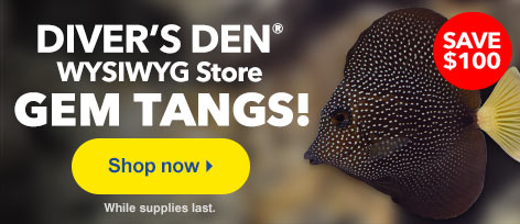Tangs for Sale at the Diver's Den WYSIWYG Store