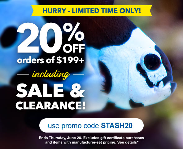 Discount on Qualifying LIveAquaria® Aquatic Life and Aquarium Supply Orders for a Limited Time Only